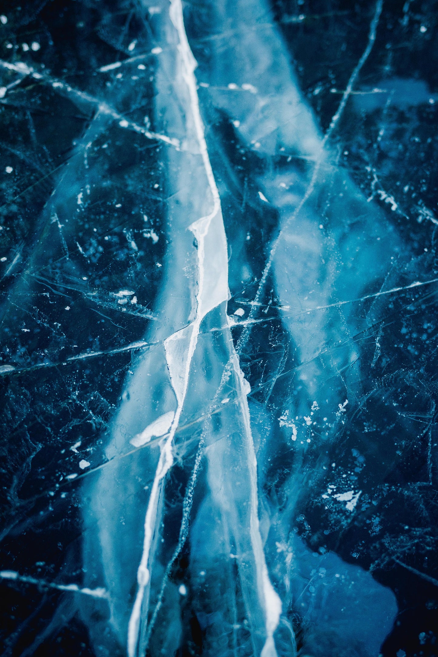 Draconic Healing reiki